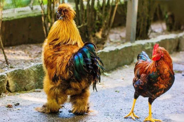Picdump 196 - #11 
