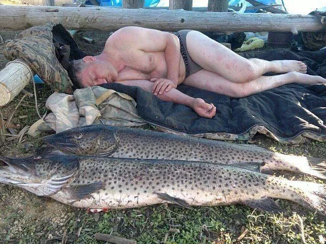 Picdump 196 - #76 Picdump 196 - #76