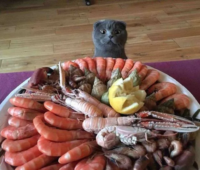 The most beautiful pictures in the world according to netizens - #10 