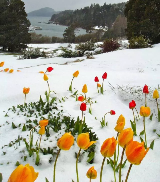 The most beautiful pictures in the world according to netizens - #11 