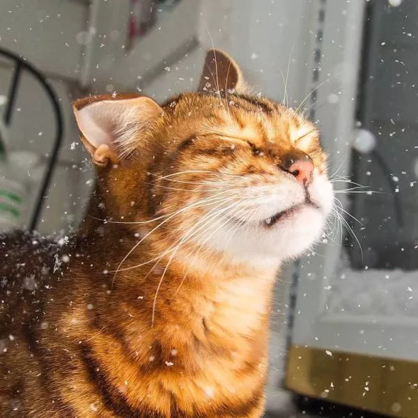 Les plus belles photos du monde selon les internautes - #14 