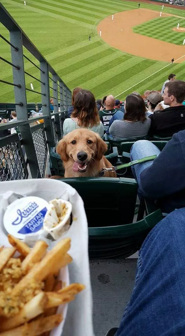 The most beautiful pictures in the world according to netizens - #16 