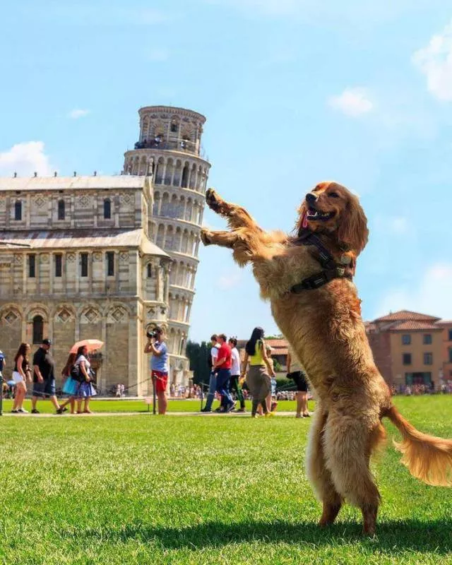 Les plus belles photos du monde selon les internautes - #18 