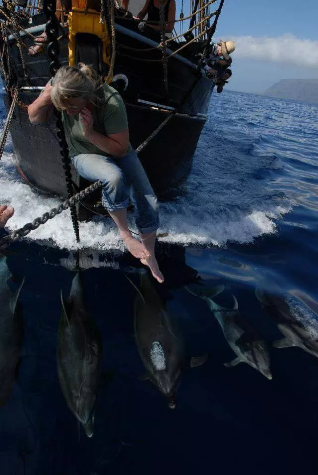 Les plus belles photos du monde selon les internautes - #19 