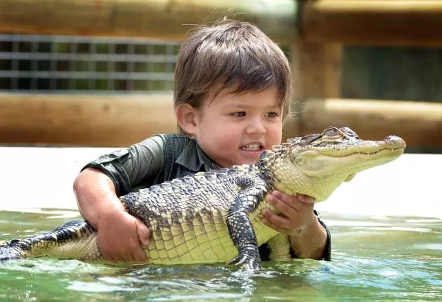 Les plus belles photos du monde selon les internautes - #25 