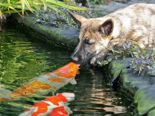 Les plus belles photos du monde selon les internautes - #28 