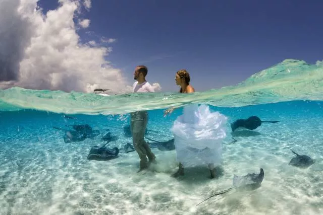 Les plus belles photos du monde selon les internautes - #3 