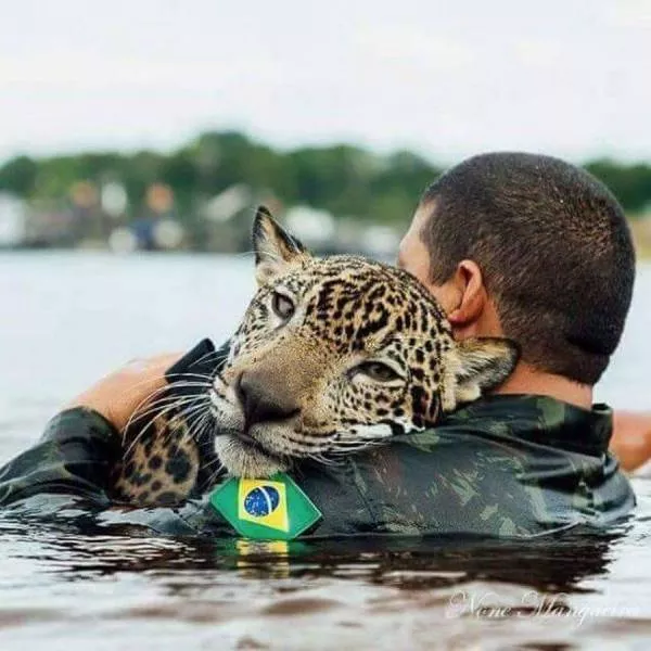 Les plus belles photos du monde selon les internautes - #31 