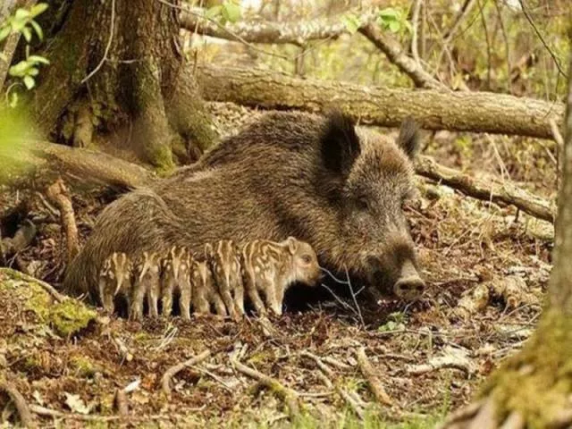 Les plus belles photos du monde selon les internautes - #48 
