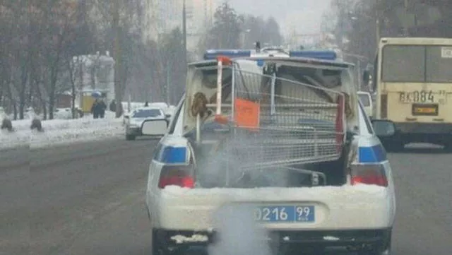 Meanwhile in russia - #41 