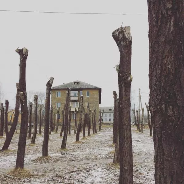 Meanwhile in russia - #8 