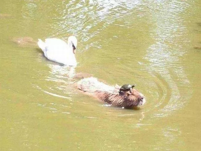 Picdump 197 - #13 