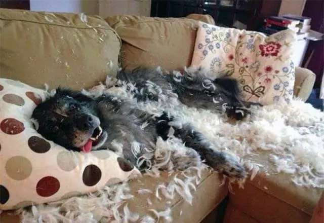 Picdump 197 - #21 