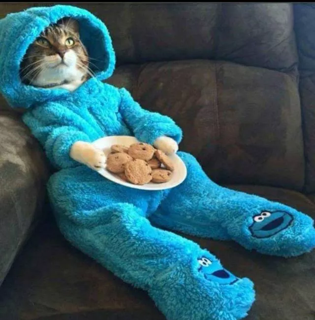 Picdump 197 - #34 