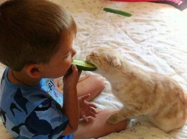 Picdump 197 - #36 
