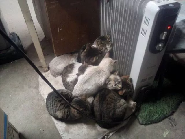 Picdump 197 - #39 
