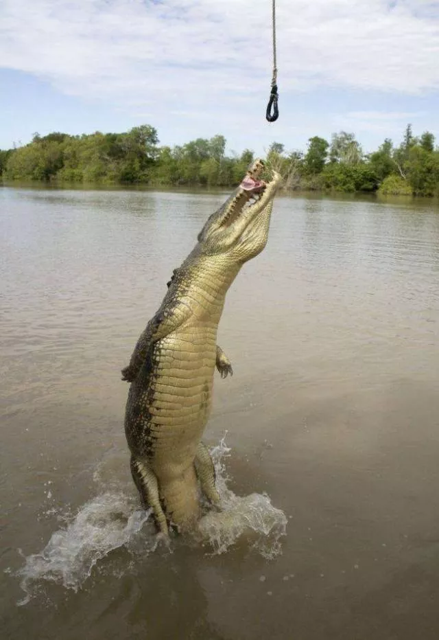Picdump 197 - #45 