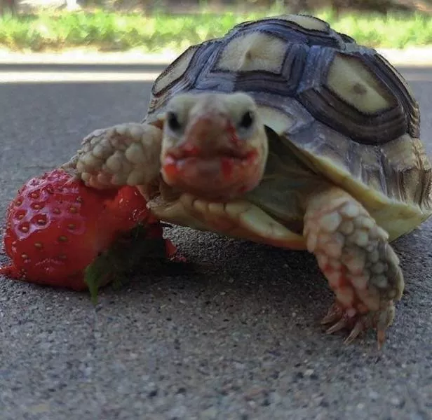 Picdump 197 - #59 