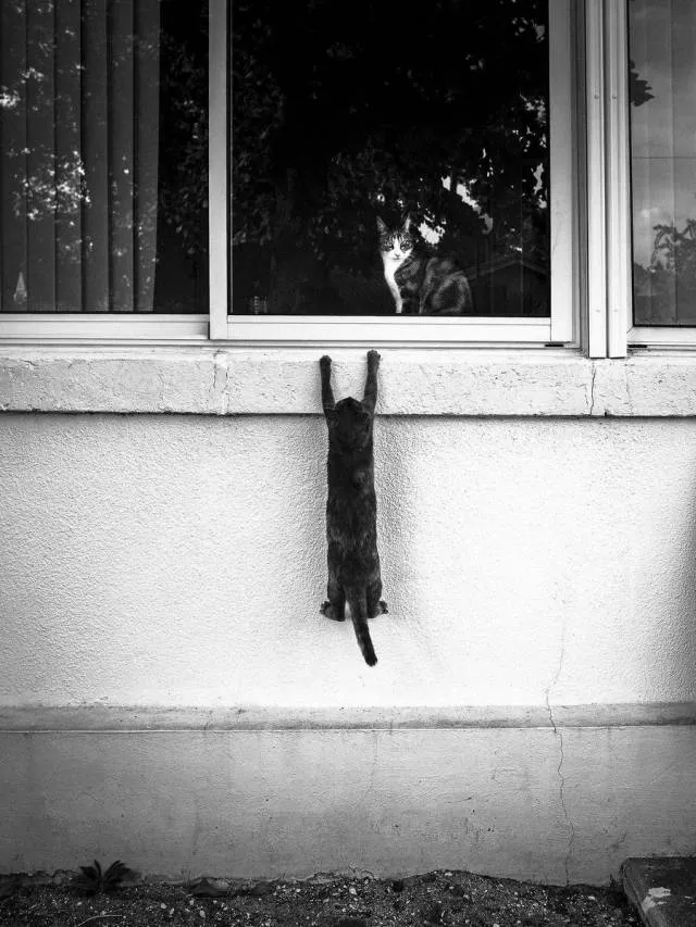 Picdump 197 - #7 