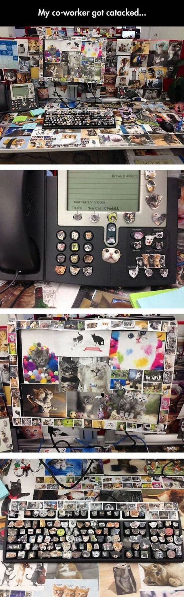 Picdump 197 - #82 