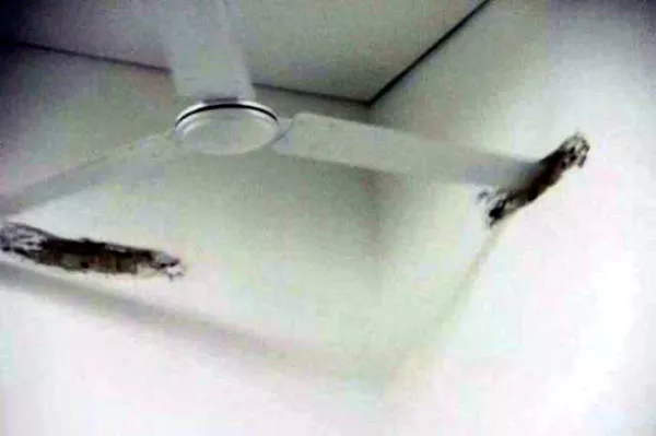 The worst things that can happen - #27 