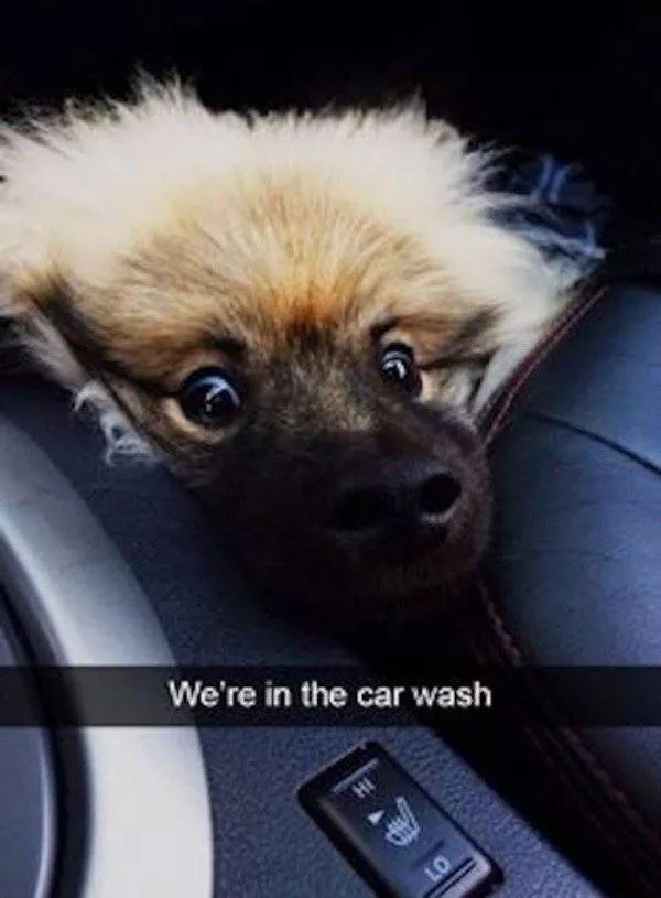 The worst things that can happen - #6 