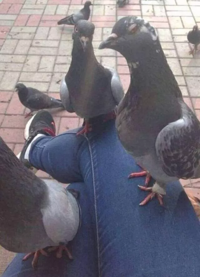 Picdump 198 - #31 