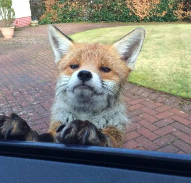 Picdump 198 - #36 