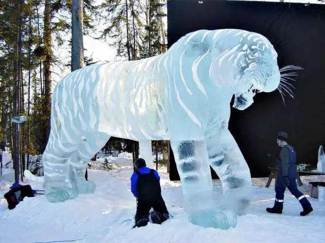 Picdump 198 - #63 