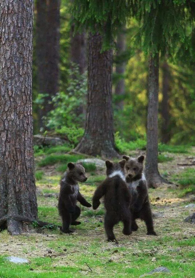 Picdump 198 - #65 