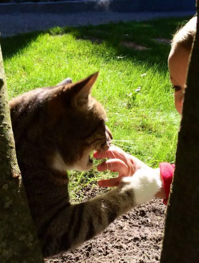 Picdump 198 - #66 
