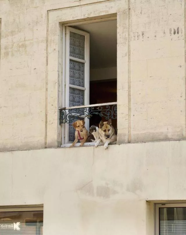 Picdump 198 - #79 