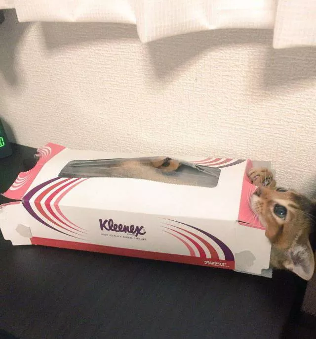 Picdump 198 - #82 