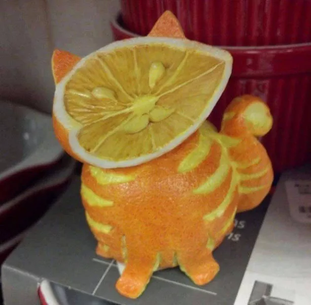 Playing with food is quite fun - #11 