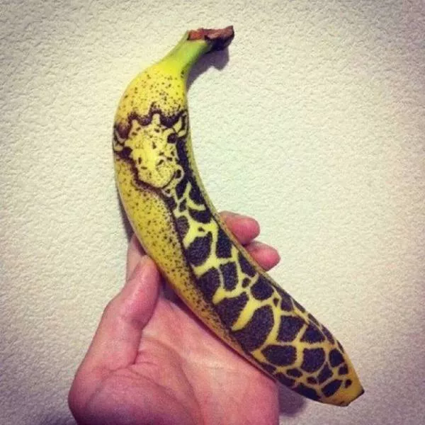 Playing with food is quite fun - #17 
