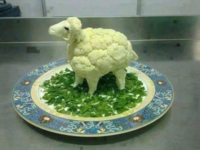 Playing with food is quite fun - #28 
