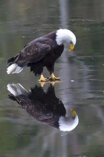 Reality can impress us more than photoshop - #11 