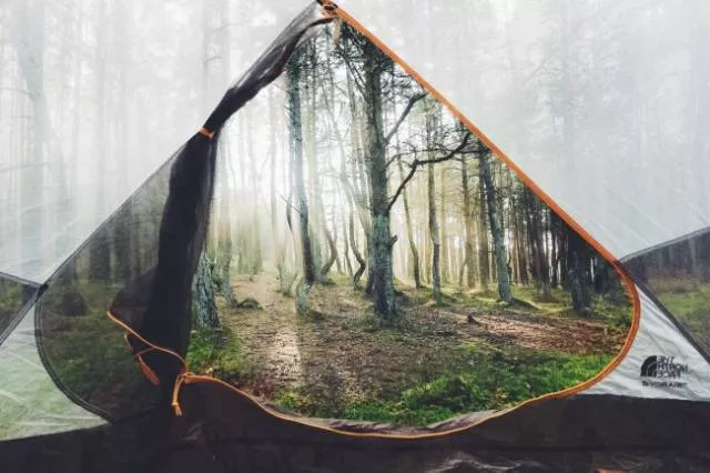 Reality can impress us more than photoshop - #12 