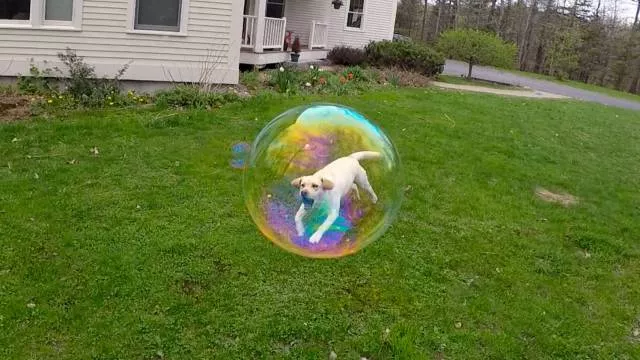Reality can impress us more than photoshop - #18 