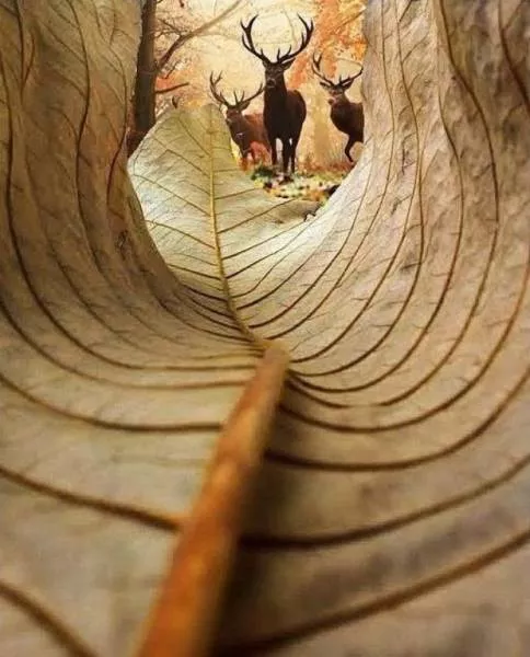 Reality can impress us more than photoshop - #19 