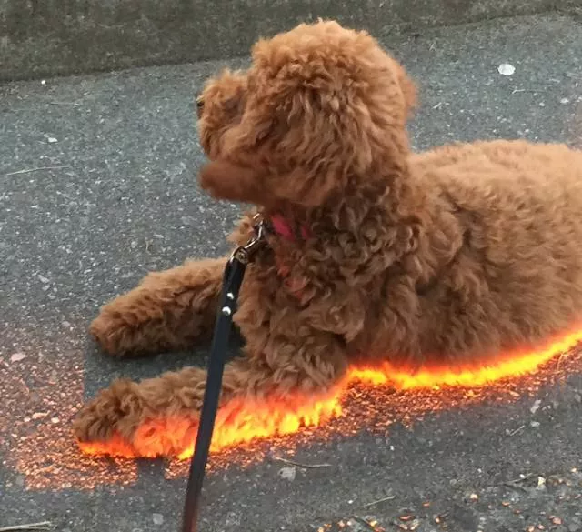 Reality can impress us more than photoshop - #21 