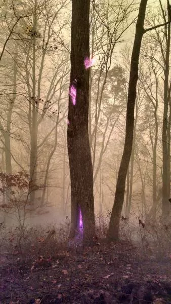 La realite peut nous impressionner plus que photoshop - #6 