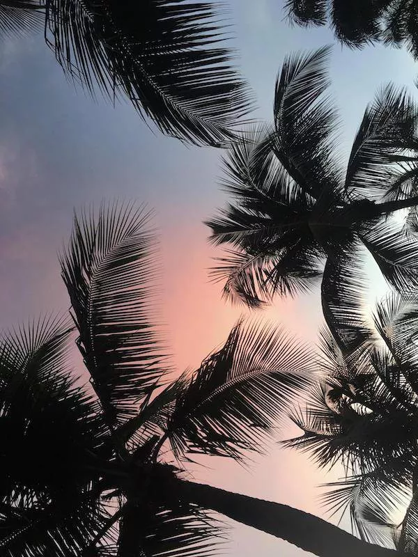 Great backgrounds for your smartphone - #28 