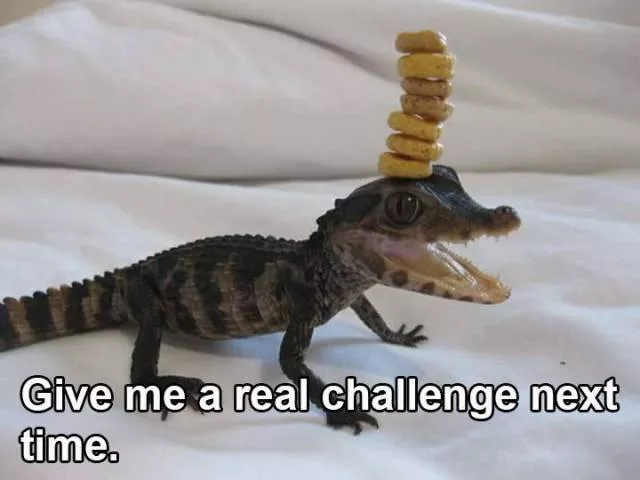 Challenge accepted - #10 