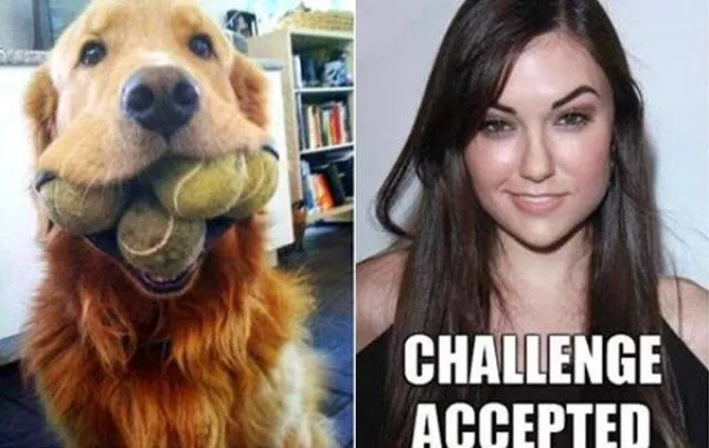 Challenge accepted - #11 
