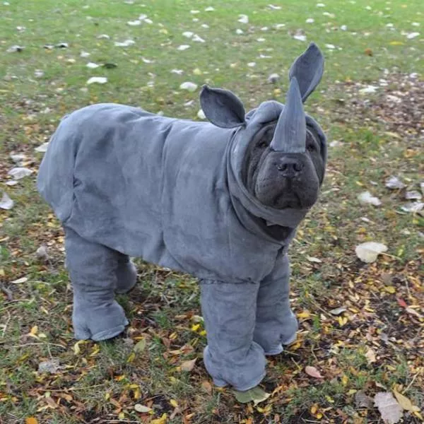 Picdump 199 - #10 