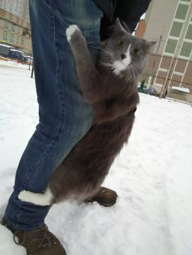 Picdump 199 - #3 