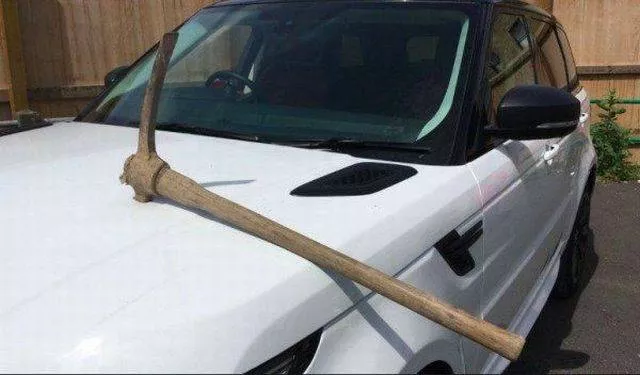 Picdump 199 - #46 