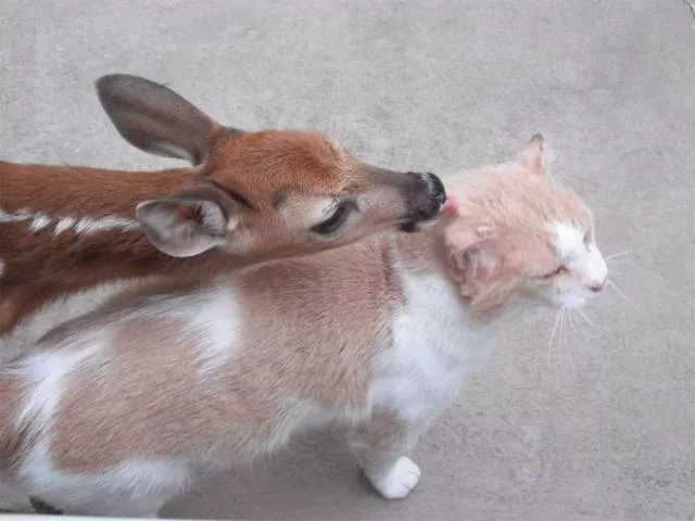 Picdump 199 - #64 