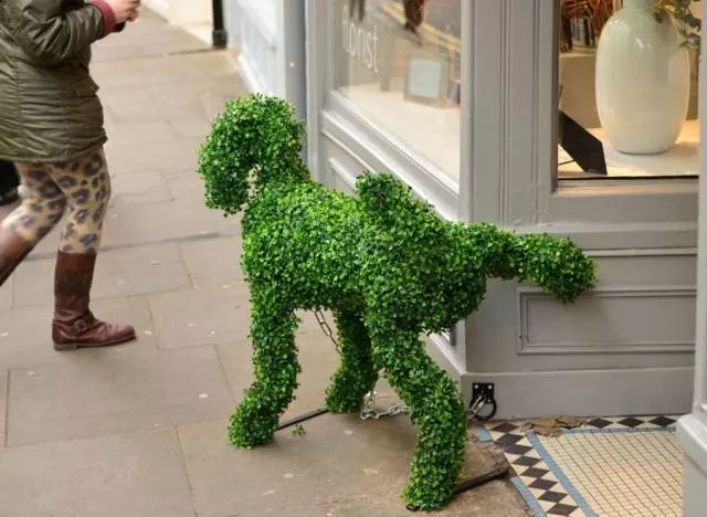 Picdump 199 - #78 